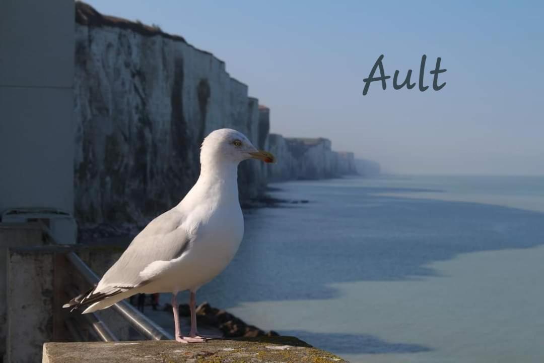 Gite Le Minile Béthencourt-sur-Mer Esterno foto